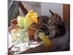 Premium Photographic Print