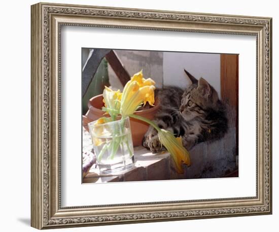 A Kitten Playing with Flower, August 1997-null-Framed Photographic Print