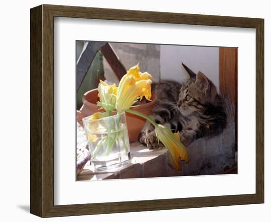 A Kitten Playing with Flower, August 1997-null-Framed Photographic Print