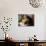 A Kitten Watching Through a Window, August 1997-null-Photographic Print displayed on a wall
