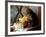 A Kitten Watching Through a Window, August 1997-null-Framed Photographic Print