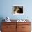 A Kitten Watching Through a Window, August 1997-null-Framed Photographic Print displayed on a wall