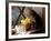 A Kitten Watching Through a Window, August 1997-null-Framed Photographic Print