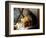 A Kitten Watching Through a Window, August 1997-null-Framed Photographic Print