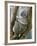 A Koala Finds the Perfect Perch-null-Framed Photographic Print