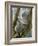 A Koala Finds the Perfect Perch-null-Framed Photographic Print