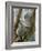 A Koala Finds the Perfect Perch-null-Framed Photographic Print