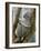 A Koala Finds the Perfect Perch-null-Framed Photographic Print