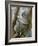 A Koala Finds the Perfect Perch-null-Framed Photographic Print