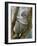 A Koala Finds the Perfect Perch-null-Framed Photographic Print