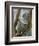 A Koala Finds the Perfect Perch-null-Framed Photographic Print