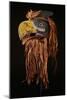 A Kwakiutl Thunderbird Mask, Red Cedar-null-Mounted Giclee Print