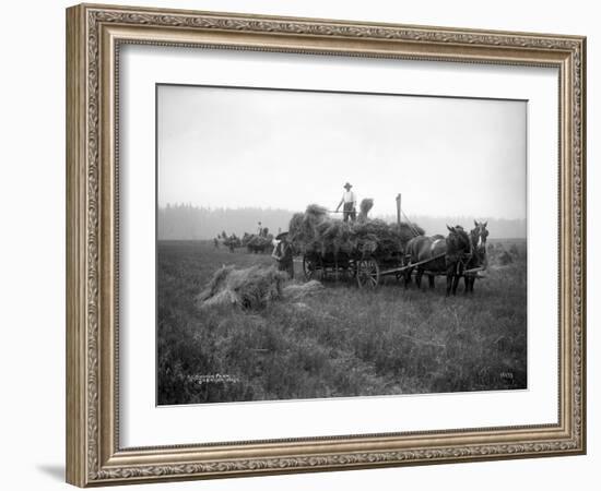 A.L. Brown Farm, Sherlock, Washington (ca. 1909)-Ashael Curtis-Framed Giclee Print