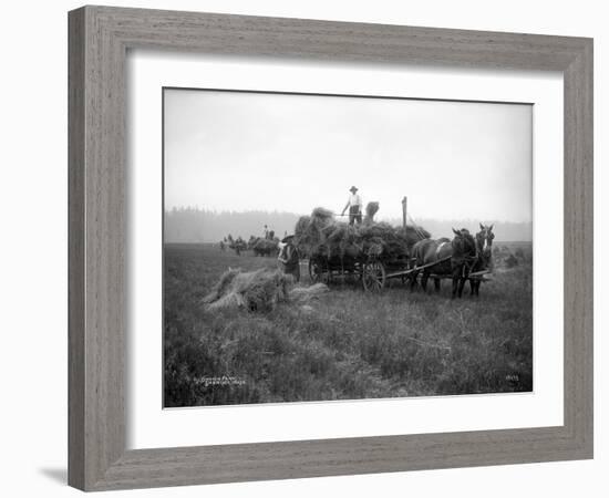 A.L. Brown Farm, Sherlock, Washington (ca. 1909)-Ashael Curtis-Framed Giclee Print