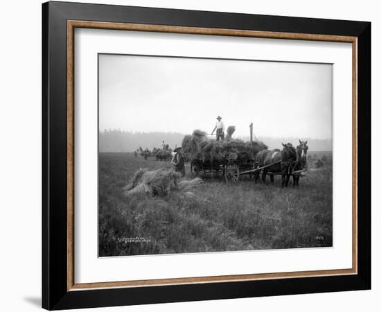 A.L. Brown Farm, Sherlock, Washington (ca. 1909)-Ashael Curtis-Framed Giclee Print