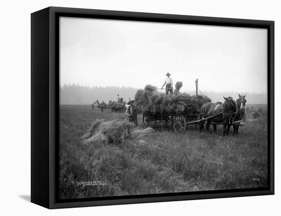 A.L. Brown Farm, Sherlock, Washington (ca. 1909)-Ashael Curtis-Framed Premier Image Canvas