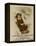 A. L. Foster & Co., A Girl on a Toboggan Sledding Down Hill, National Museum of American History-null-Framed Stretched Canvas