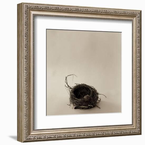 A La Curtis-Ruth Silverman-Framed Art Print