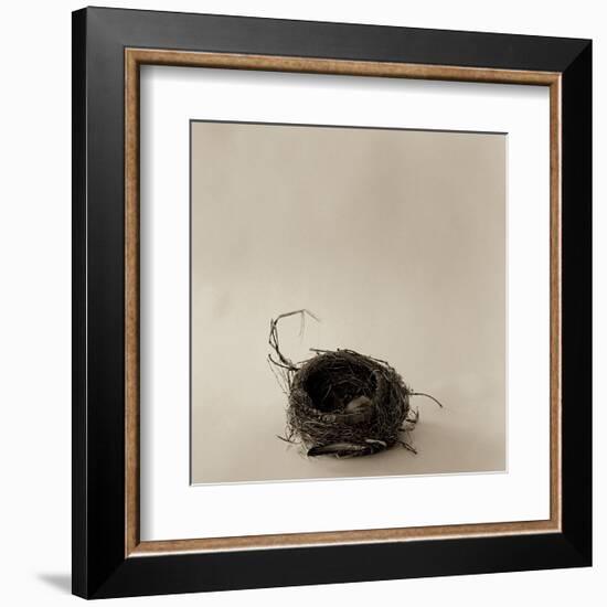 A La Curtis-Ruth Silverman-Framed Art Print