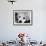 A Labrador puppy, 1978-Freddie Reed O.B.E.-Framed Photographic Print displayed on a wall