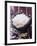 A Ladle of Uncooked Long Grain White Rice-null-Framed Photographic Print