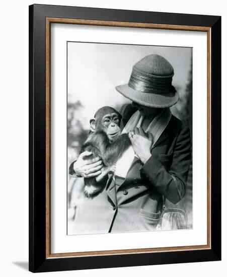 A Lady Holds a Young Chimpanzee at London Zoo, June 1922-Frederick William Bond-Framed Photographic Print