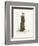 A Lady of Battersea-George Belcher-Framed Premium Giclee Print