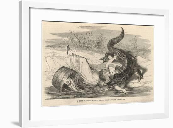 A Lady's Battle with a Swamp Alligator in Louisiana-null-Framed Giclee Print