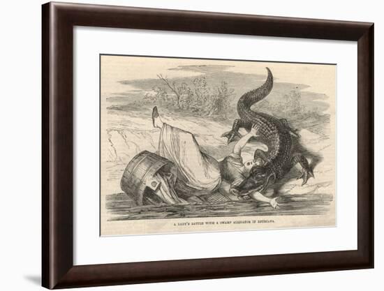 A Lady's Battle with a Swamp Alligator in Louisiana-null-Framed Giclee Print