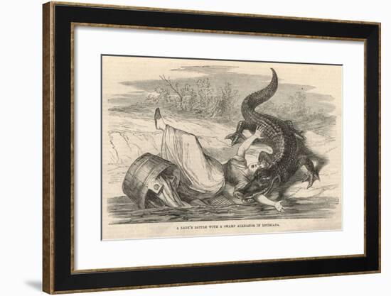 A Lady's Battle with a Swamp Alligator in Louisiana-null-Framed Giclee Print