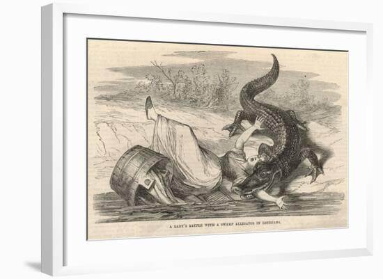 A Lady's Battle with a Swamp Alligator in Louisiana-null-Framed Giclee Print