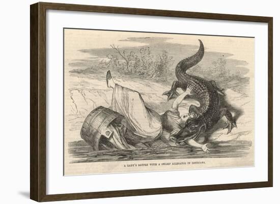 A Lady's Battle with a Swamp Alligator in Louisiana-null-Framed Giclee Print