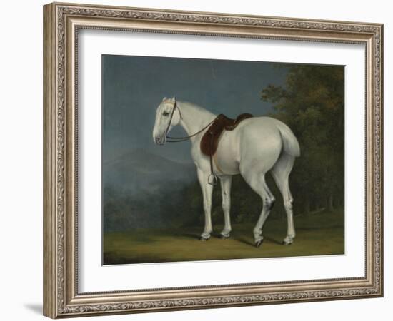 A Lady's Grey Hunter, C.1806-Jacques-Laurent Agasse-Framed Giclee Print