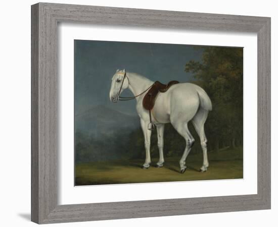 A Lady's Grey Hunter, C.1806-Jacques-Laurent Agasse-Framed Giclee Print