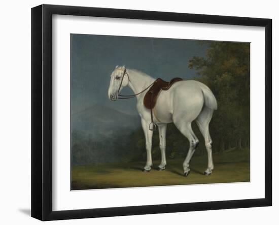 A Lady's Grey Hunter, C.1806-Jacques-Laurent Agasse-Framed Giclee Print