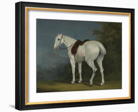 A Lady's Grey Hunter, C.1806-Jacques-Laurent Agasse-Framed Giclee Print