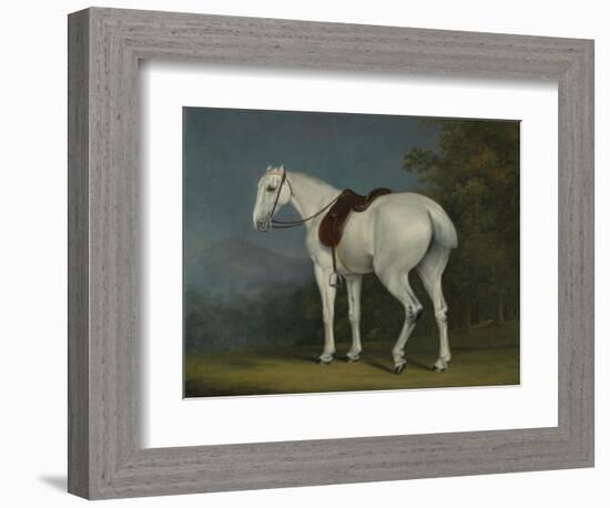 A Lady's Grey Hunter, C.1806-Jacques-Laurent Agasse-Framed Giclee Print