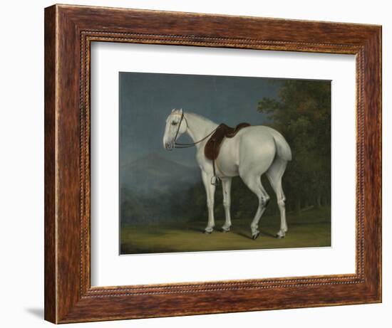 A Lady's Grey Hunter, C.1806-Jacques-Laurent Agasse-Framed Giclee Print