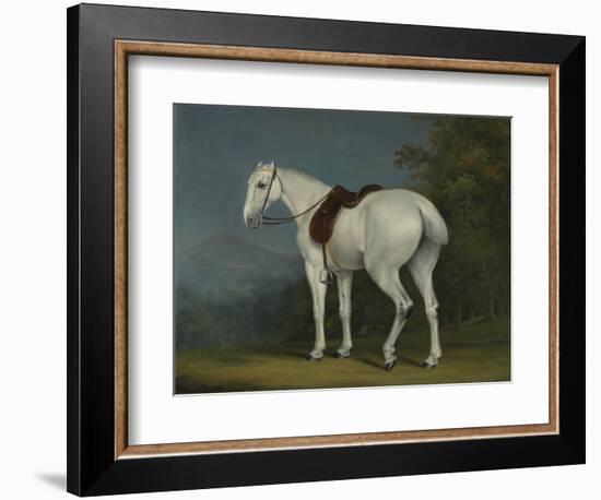 A Lady's Grey Hunter, C.1806-Jacques-Laurent Agasse-Framed Giclee Print