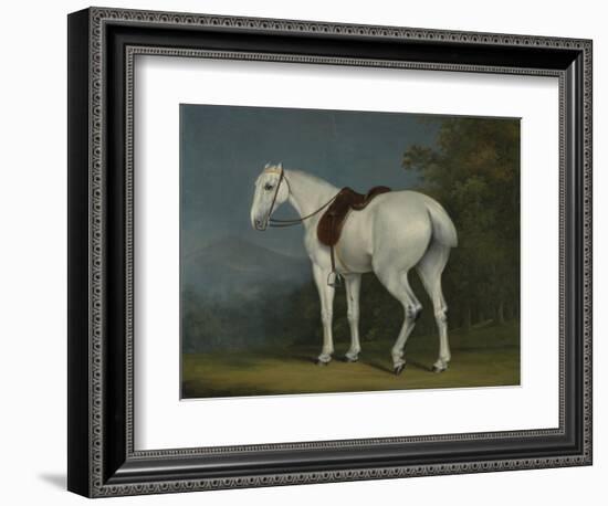 A Lady's Grey Hunter, C.1806-Jacques-Laurent Agasse-Framed Giclee Print