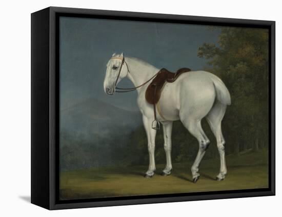 A Lady's Grey Hunter, C.1806-Jacques-Laurent Agasse-Framed Premier Image Canvas