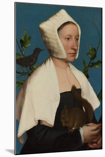 A Lady with a Squirrel and a Starling (Anne Lovell), C. 1527-Hans Holbein the Younger-Mounted Giclee Print