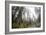 A Landscape Image Of Large Trees In Sequoia National Park, California-Michael Hanson-Framed Photographic Print