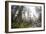 A Landscape Image Of Large Trees In Sequoia National Park, California-Michael Hanson-Framed Photographic Print