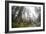 A Landscape Image Of Large Trees In Sequoia National Park, California-Michael Hanson-Framed Photographic Print