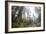 A Landscape Image Of Large Trees In Sequoia National Park, California-Michael Hanson-Framed Photographic Print