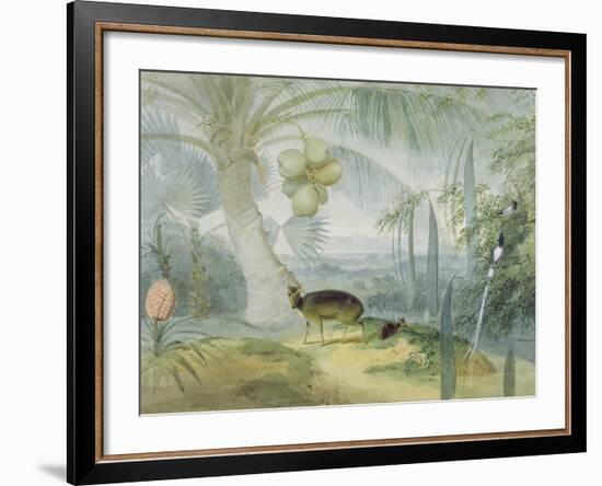 A Landscape in Ceylon, with Barking Deer and Fawn and a Pair of Paradise Fly-Catchers, C.1808-11-Samuel Daniell-Framed Giclee Print