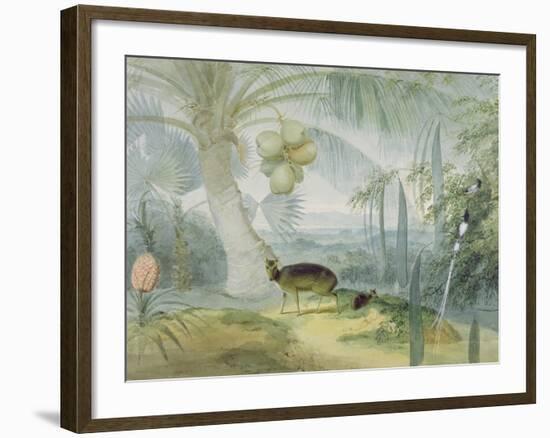A Landscape in Ceylon, with Barking Deer and Fawn and a Pair of Paradise Fly-Catchers, C.1808-11-Samuel Daniell-Framed Giclee Print