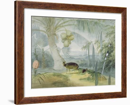 A Landscape in Ceylon, with Barking Deer and Fawn and a Pair of Paradise Fly-Catchers, C.1808-11-Samuel Daniell-Framed Giclee Print