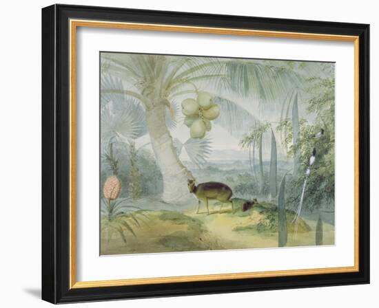 A Landscape in Ceylon, with Barking Deer and Fawn and a Pair of Paradise Fly-Catchers, C.1808-11-Samuel Daniell-Framed Giclee Print